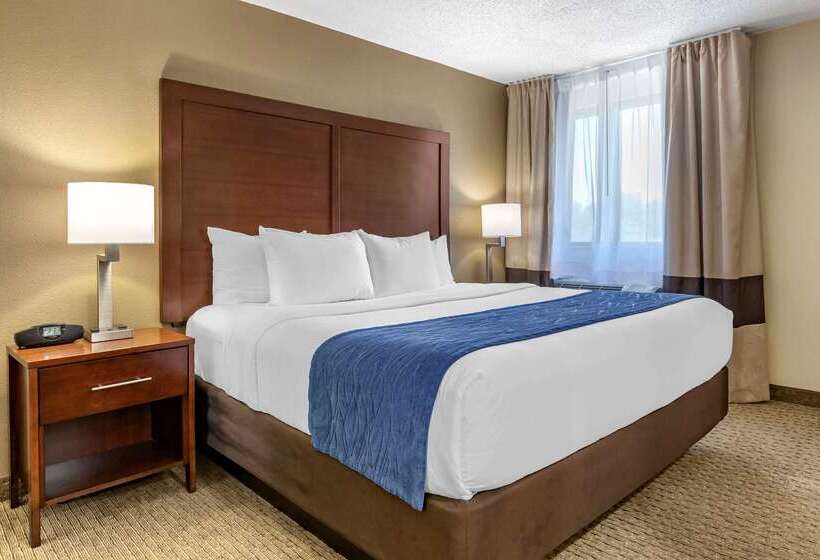 فندق Comfort Inn Near Greenfield Village