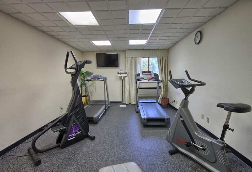 בית מלון כפרי Comfort Inn Near Greenfield Village