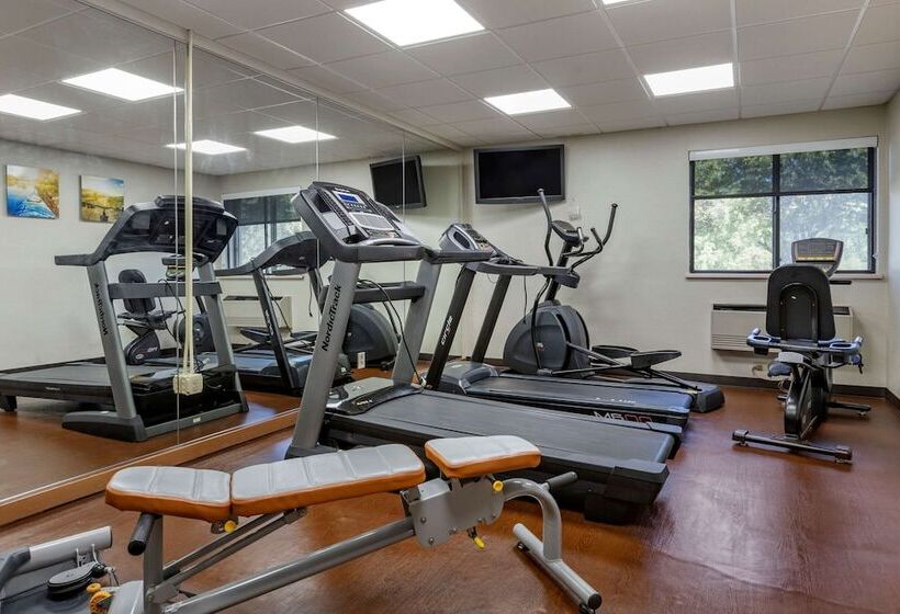 فندق Comfort Inn Near Greenfield Village