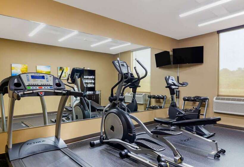 בית מלון כפרי Comfort Inn & Suites Durham Near Duke University