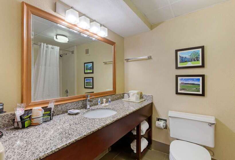 בית מלון כפרי Comfort Inn & Suites Durham Near Duke University