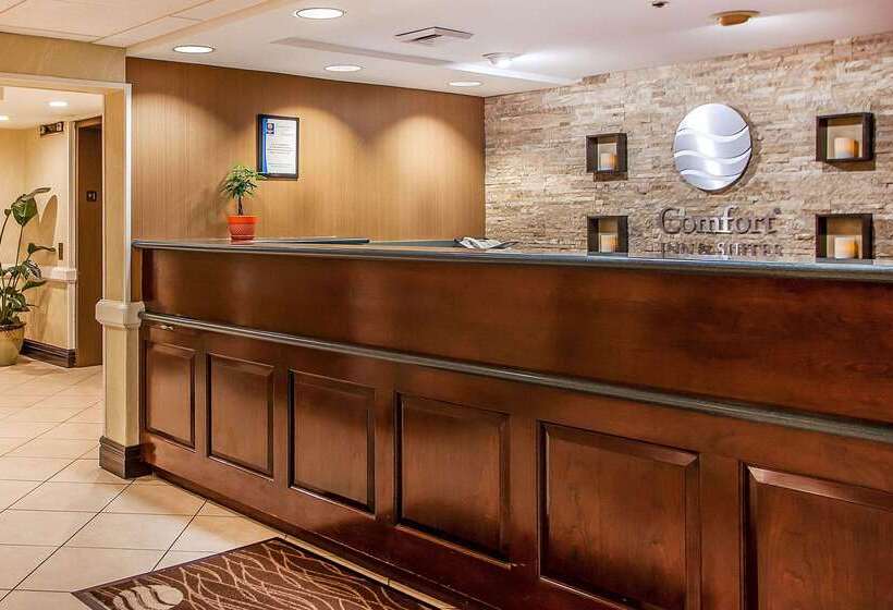 فندق Comfort Inn & Suites Somerset  New Brunswick