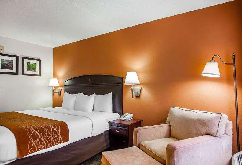 فندق Comfort Inn & Suites Somerset  New Brunswick