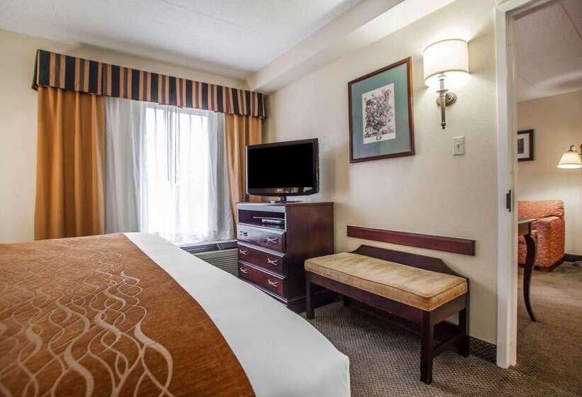 فندق Comfort Inn & Suites Somerset  New Brunswick