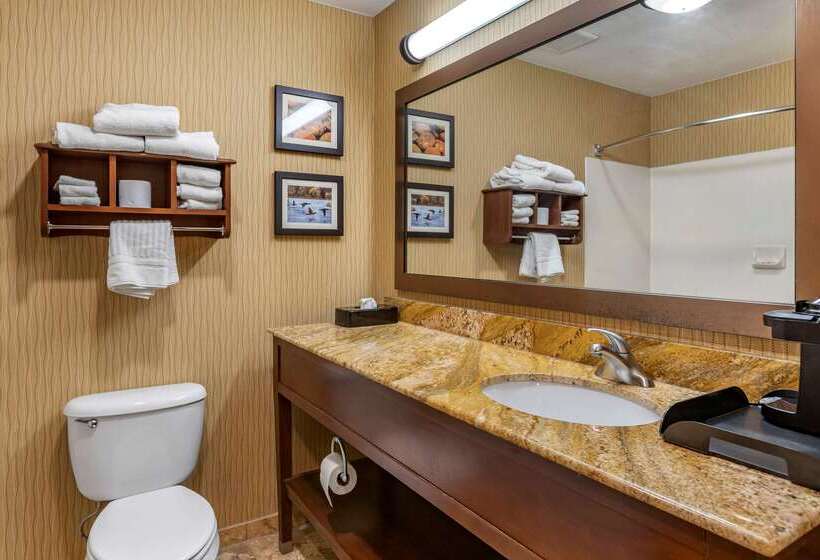 호텔 Comfort Inn Wings Stadium