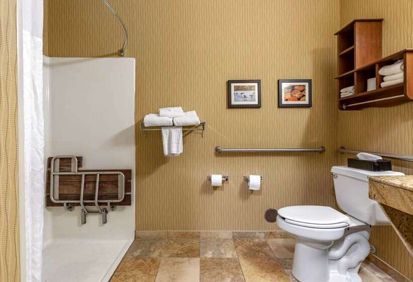 호텔 Comfort Inn Wings Stadium