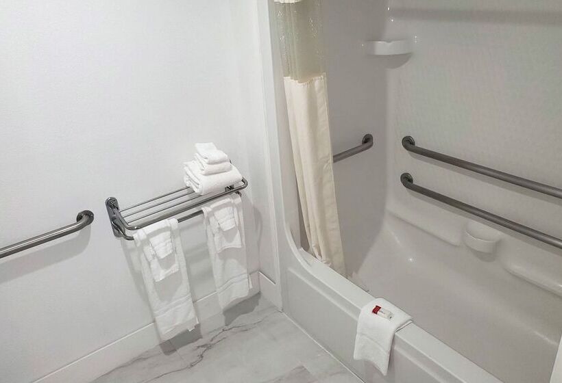 호텔 Coratel Inn & Suites By Jasper New Braunfels Ih 35 Ext 189
