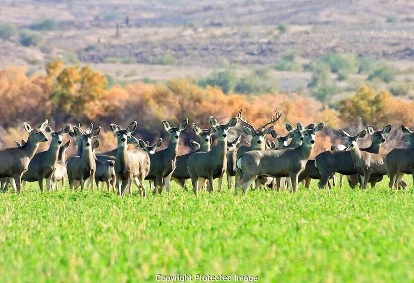 酒店 Days Inn By Wyndham Blythe