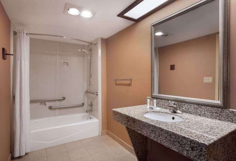 Hotel Days Inn & Suites By Wyndham Tyler