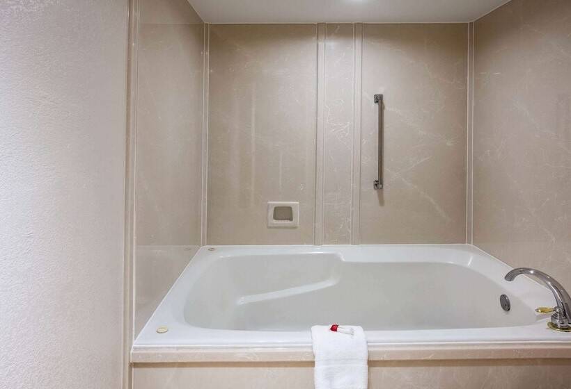 Hotel Days Inn & Suites By Wyndham Tyler