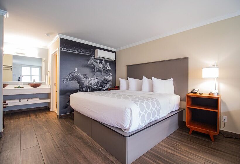 فندق Equus Inn I75