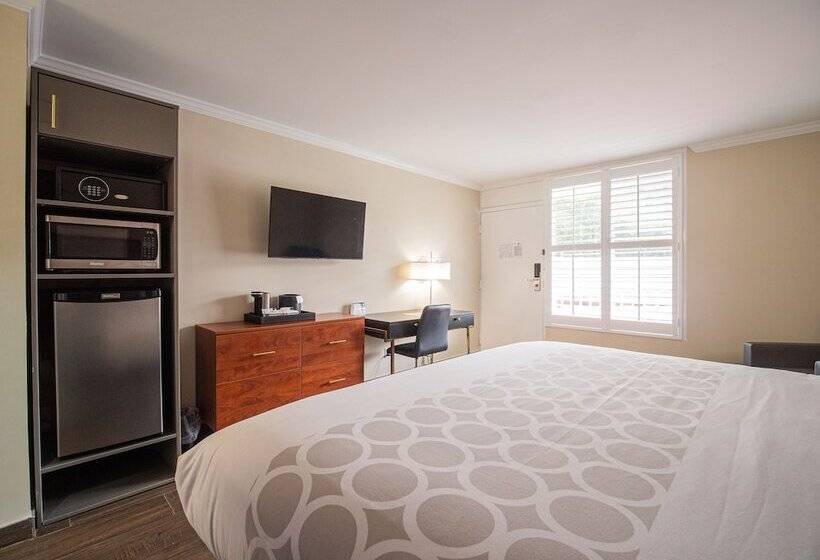 فندق Equus Inn I75