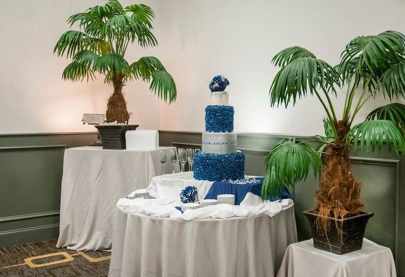 هتل Four Points By Sheraton Alexandria