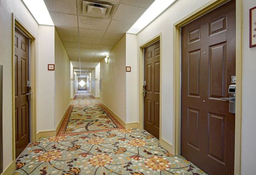 酒店 Galleria Palms Orlando   Free Theme Park Shuttles