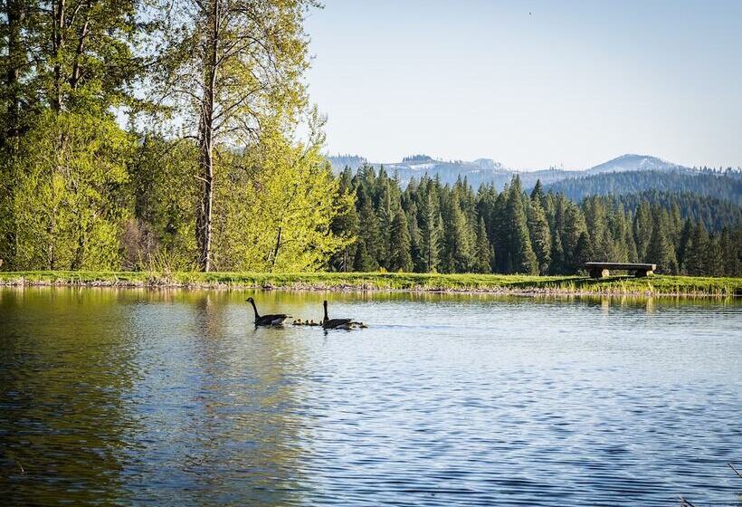 ホテル Greenhorn Ranch