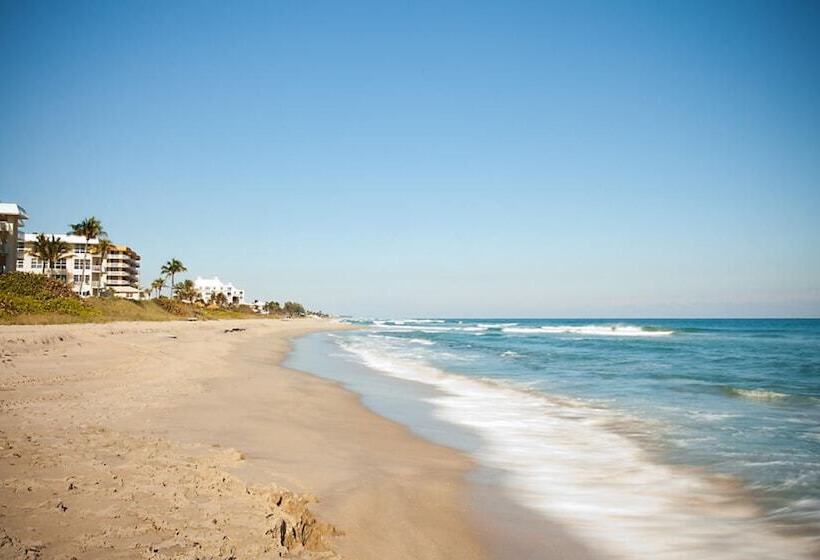 فندق Gulfstream Manor