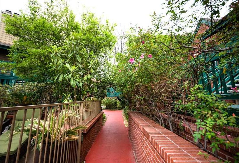 בית מלון כפרי Habitat Suites