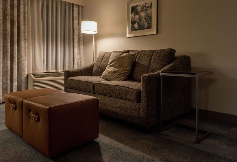 فندق Hampton Inn & Suites Jackson Coliseum