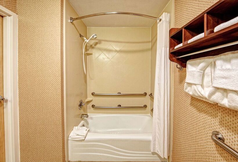 هتل Hampton Inn & Suites Pigeon Forge On The Parkway