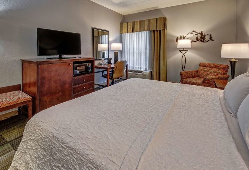 هتل Hampton Inn & Suites Pigeon Forge On The Parkway