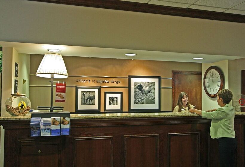 هتل Hampton Inn & Suites Pigeon Forge On The Parkway