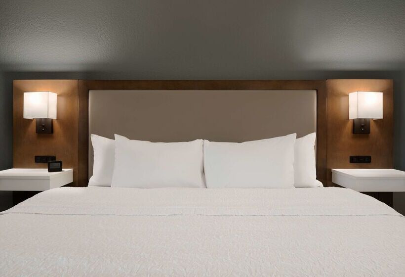 هتل Hampton Inn Appletonfox River Mall Area