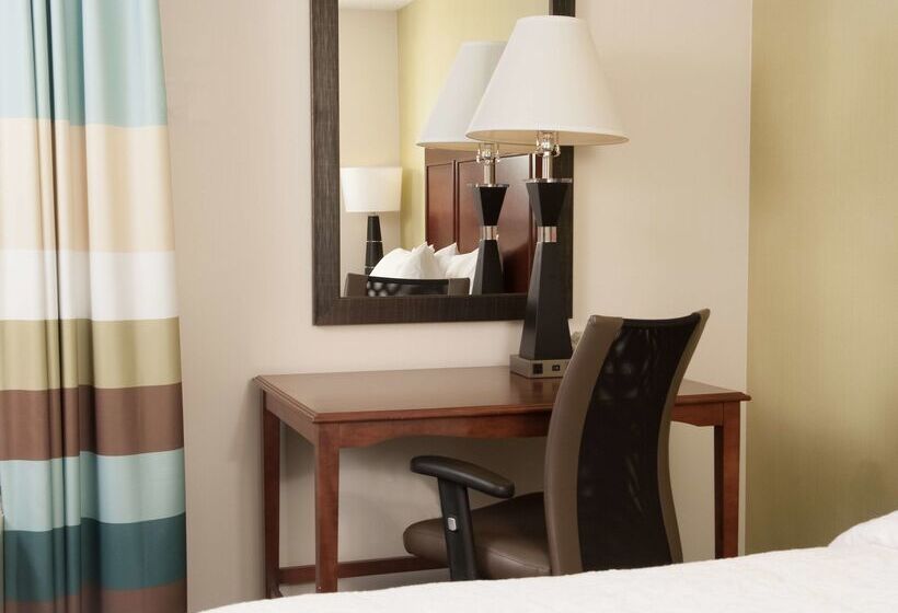 酒店 Hampton Inn Atlantanorth Druid Hills