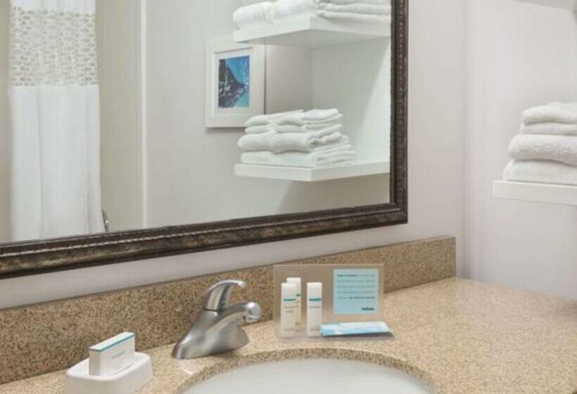 호텔 Hampton Inn Atlantaperimeter Center