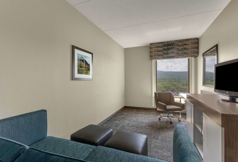 בית מלון כפרי Hampton Inn Bedford