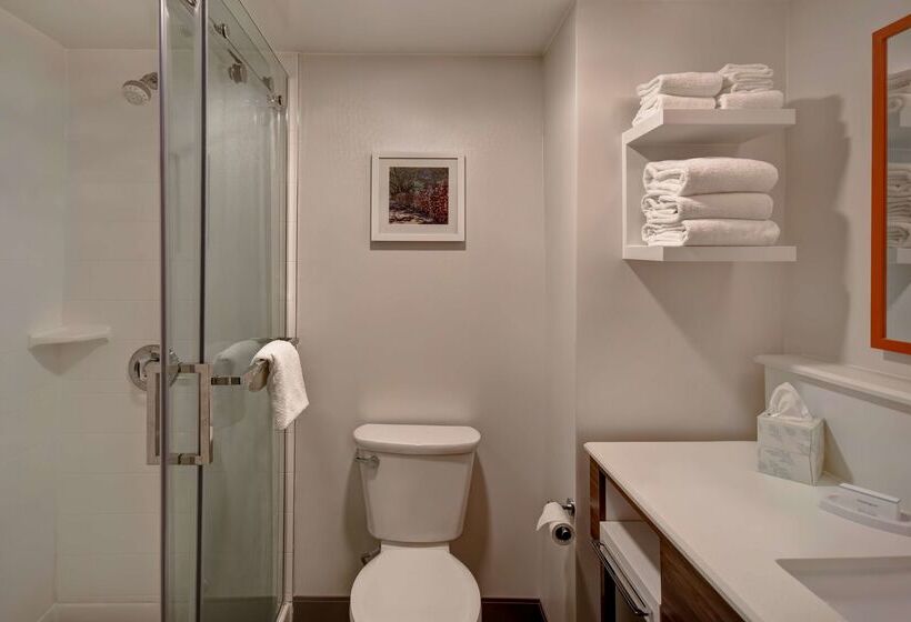 ホテル Hampton Inn Birminghamcolonnade 280