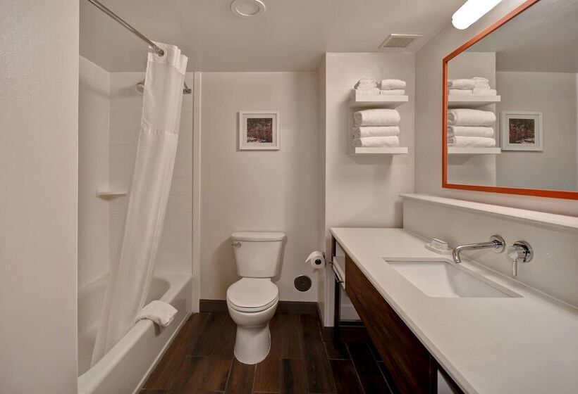 ホテル Hampton Inn Birminghamcolonnade 280