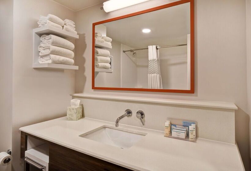 ホテル Hampton Inn Birminghamcolonnade 280