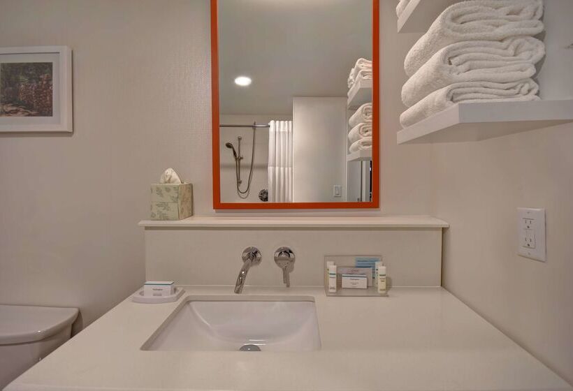 ホテル Hampton Inn Birminghamcolonnade 280