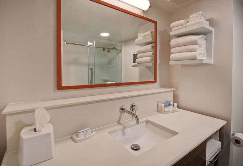 ホテル Hampton Inn Birminghamcolonnade 280