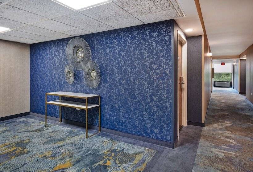 ホテル Hampton Inn Birminghamcolonnade 280