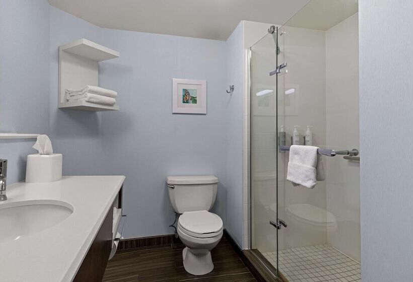 호텔 Hampton Inn Bloomington