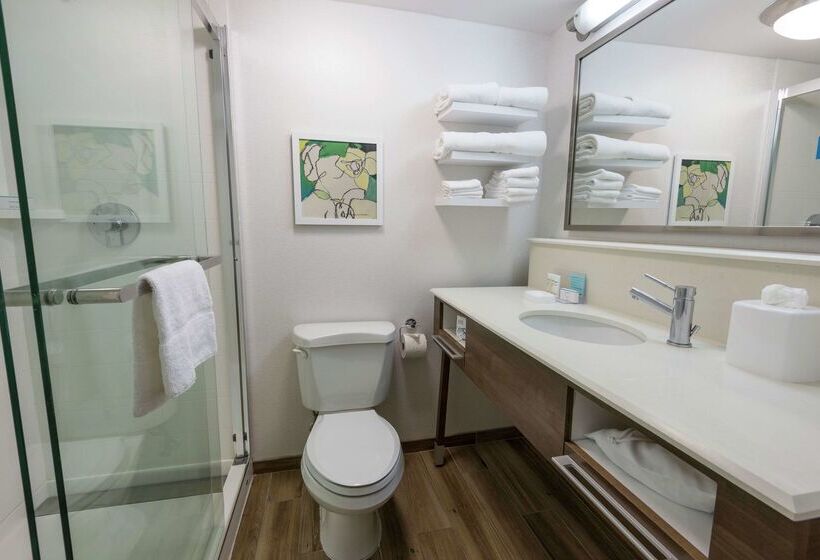 فندق Hampton Inn Boca Raton