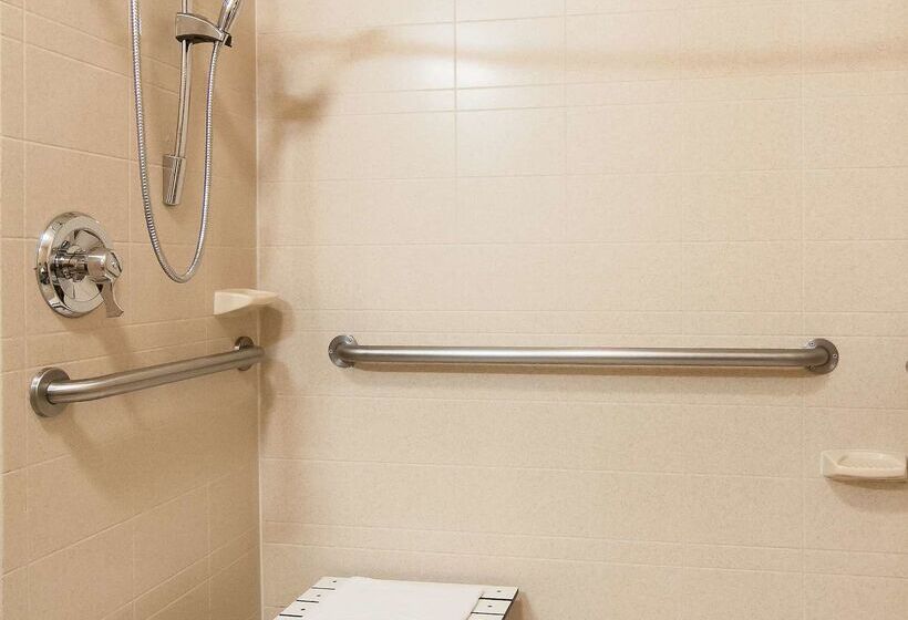 בית מלון כפרי Hampton Inn Boise  Airport