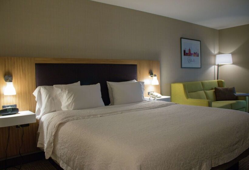 בית מלון כפרי Hampton Inn Boise  Airport