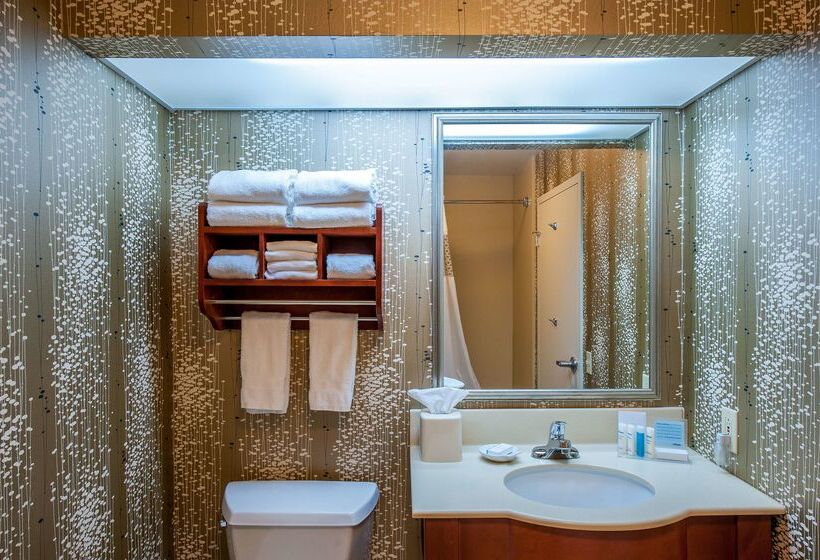 בית מלון כפרי Hampton Inn By Hilton Bowling Green