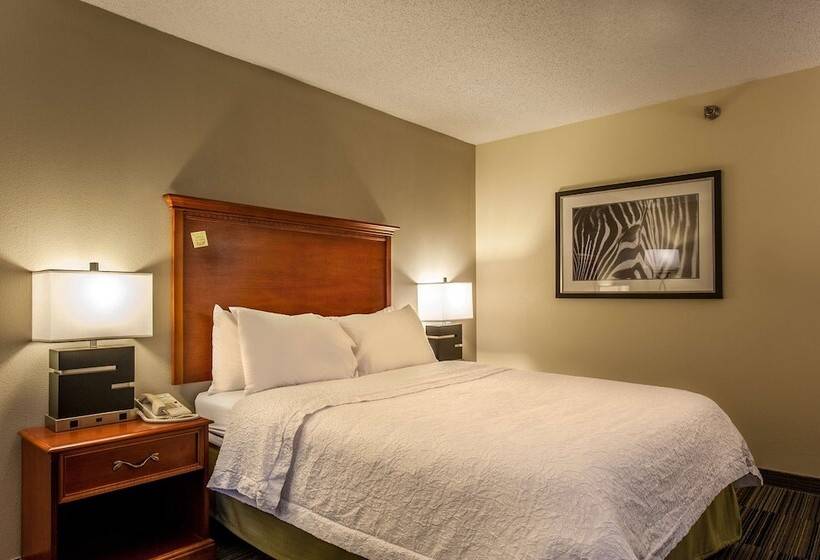 בית מלון כפרי Hampton Inn By Hilton Bowling Green