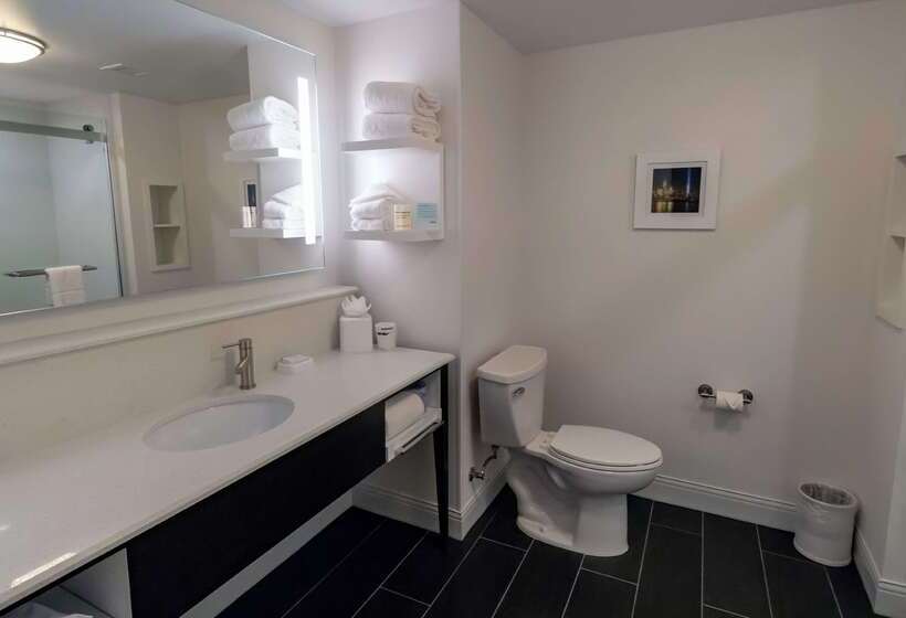 酒店 Hampton Inn Carlstadtat The Meadowlands