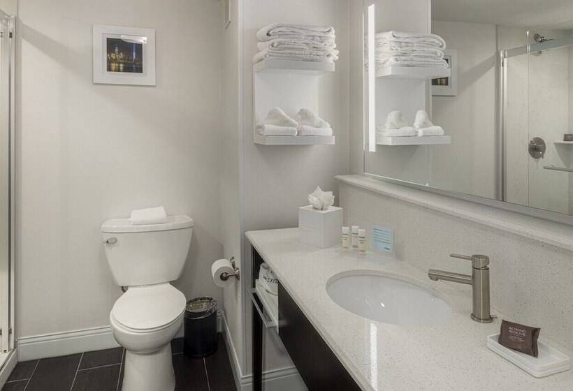 酒店 Hampton Inn Carlstadtat The Meadowlands