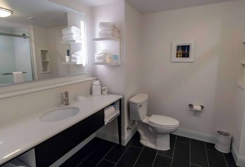 酒店 Hampton Inn Carlstadtat The Meadowlands