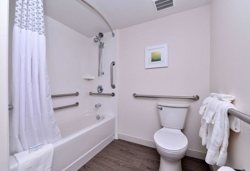 فندق Hampton Inn Cartersville