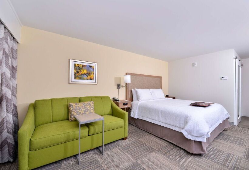 فندق Hampton Inn Cartersville