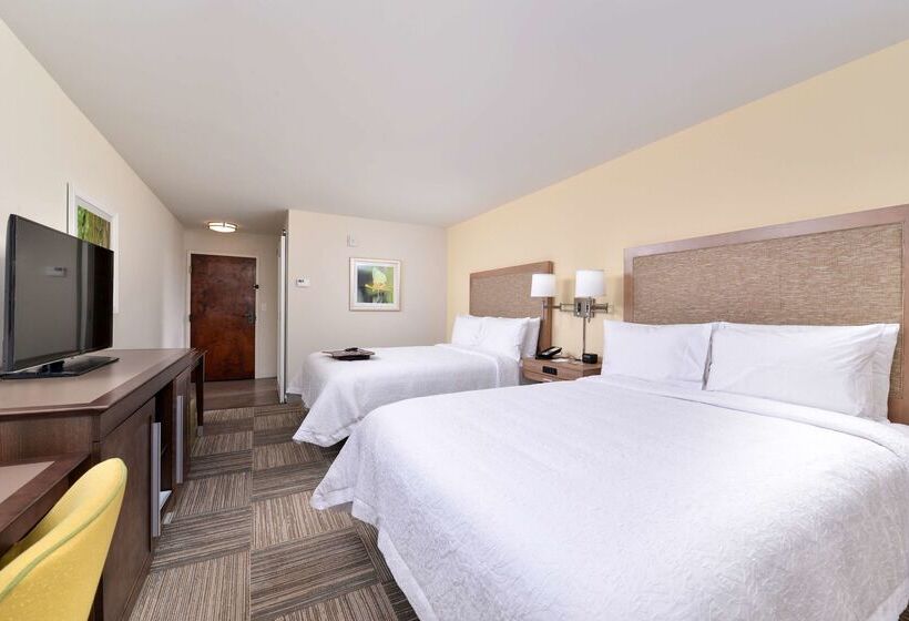 فندق Hampton Inn Cartersville