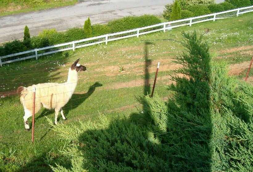 בית מלון כפרי Hampton Inn Caryvillei75/cove Lakestate Park