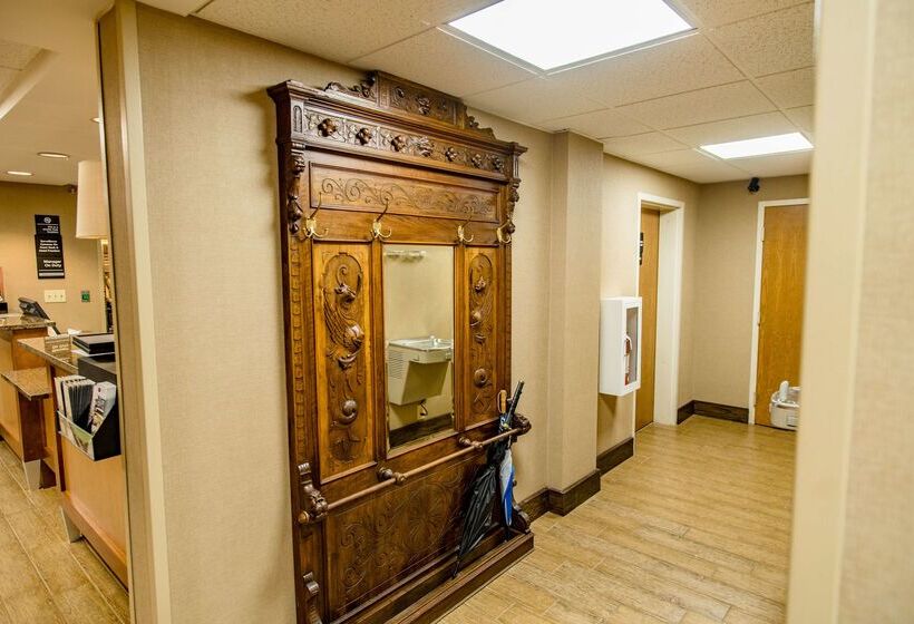 בית מלון כפרי Hampton Inn Caryvillei75/cove Lakestate Park