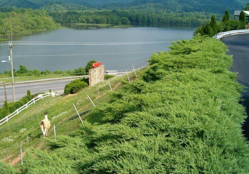 בית מלון כפרי Hampton Inn Caryvillei75/cove Lakestate Park